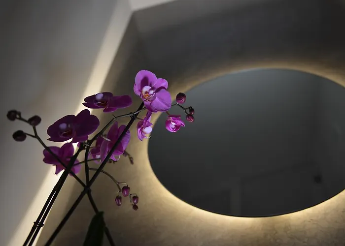 فندق مبيت وإفطار La Residenza Del Monaco Bianco 4*